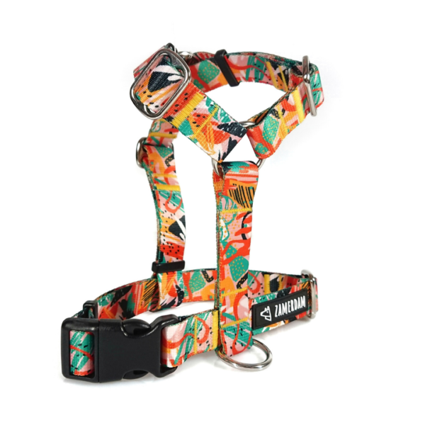 Szelki Guard Capri