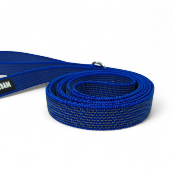 PhotoRoom-20231106_215546