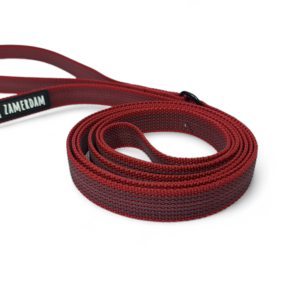 PhotoRoom-20231106_215729